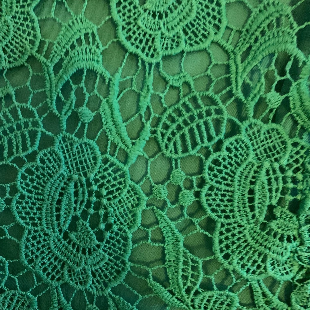 New York Company Lace Dress